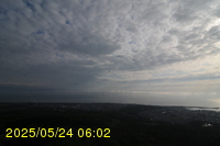 Img20250524_060207.jpg