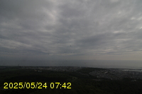 Img20250524_074207.jpg