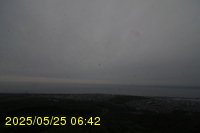 Img20250525_064210.jpg