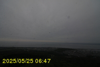 Img20250525_064710.jpg