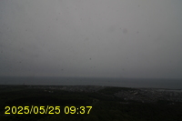 Img20250525_093711.jpg