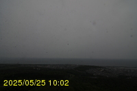 Img20250525_100211.jpg