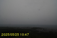 Img20250525_104711.jpg