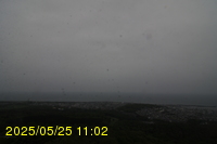 Img20250525_110211.jpg