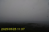 Img20250525_113711.jpg