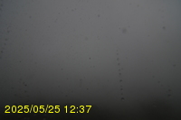 Img20250525_123712.jpg