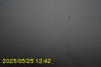 Img20250525_124211.jpg