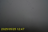 Img20250525_124711.jpg