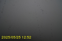 Img20250525_125211.jpg