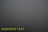 Img20250525_125712.jpg