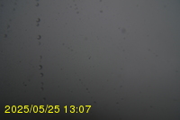 Img20250525_130712.jpg