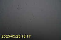 Img20250525_131712.jpg