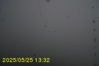 Img20250525_133212.jpg