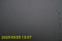 Img20250525_133712.jpg