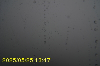 Img20250525_134712.jpg