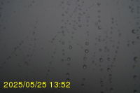 Img20250525_135212.jpg