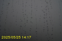 Img20250525_141712.jpg