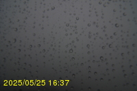 Img20250525_163712.jpg