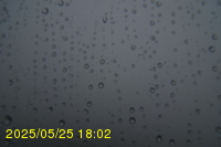 Img20250525_180212.jpg