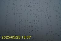 Img20250525_183713.jpg