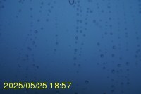 Img20250525_185713.jpg