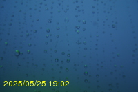Img20250525_190213.jpg
