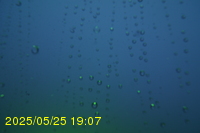 Img20250525_190713.jpg