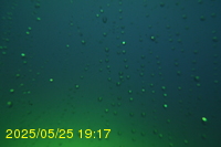 Img20250525_191713.jpg