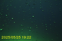 Img20250525_192213.jpg