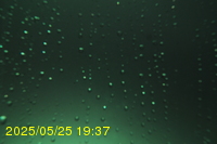 Img20250525_193713.jpg