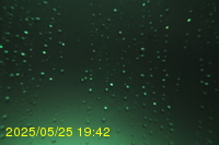 Img20250525_194213.jpg