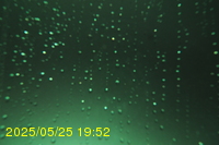 Img20250525_195213.jpg