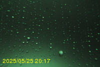 Img20250525_201713.jpg