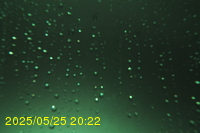Img20250525_202213.jpg