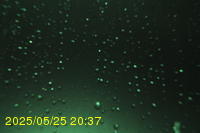 Img20250525_203713.jpg