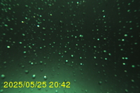 Img20250525_204213.jpg