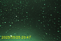 Img20250525_204713.jpg