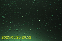 Img20250525_205213.jpg
