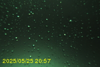Img20250525_205713.jpg