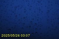 Img20250526_030714.jpg
