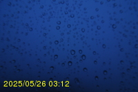 Img20250526_031214.jpg