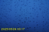Img20250526_031714.jpg