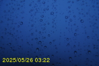 Img20250526_032214.jpg