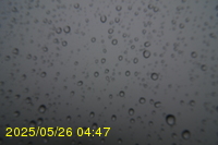 Img20250526_044714.jpg