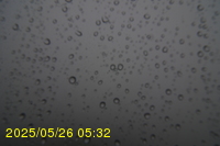 Img20250526_053214.jpg