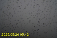 Img20250526_054214.jpg