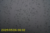 Img20250526_060214.jpg