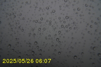Img20250526_060714.jpg