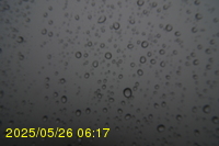 Img20250526_061714.jpg
