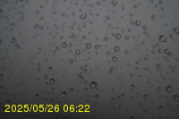 Img20250526_062214.jpg